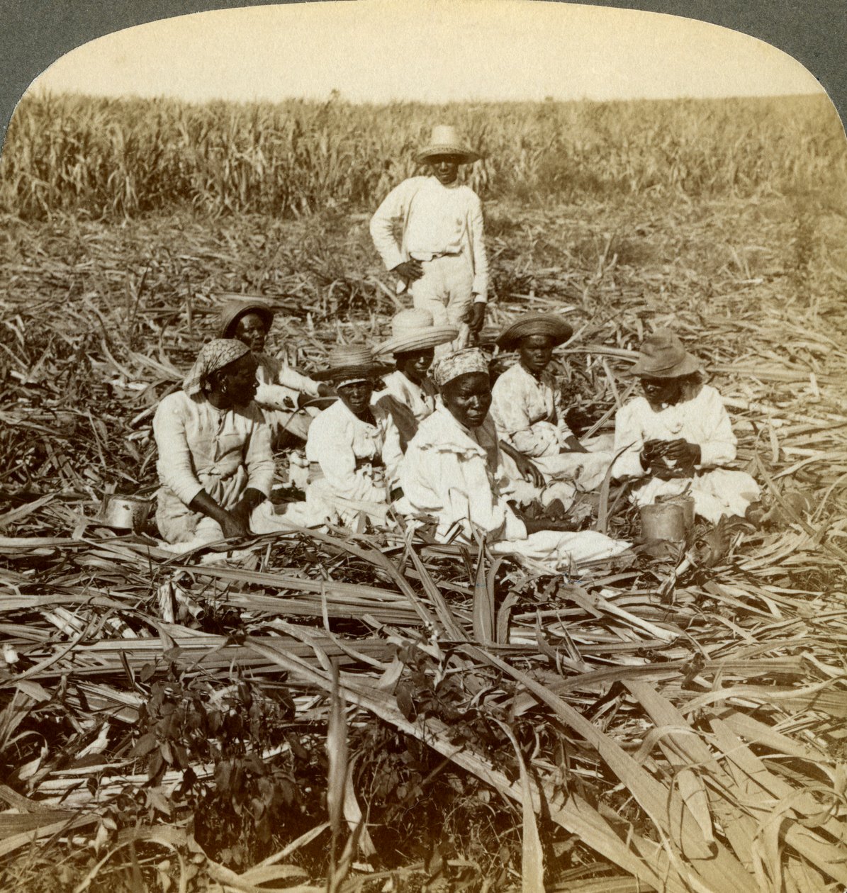 Op de suikerplantage La Union, San Luis, provincie Santiago, Cuba, 1899 door Underwood and Underwood