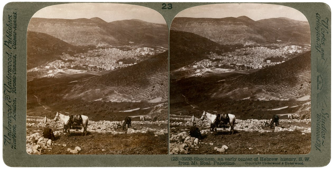 Shechem, zuidwest vanaf de berg Ebal, Palestina, 1900s door Underwood and Underwood