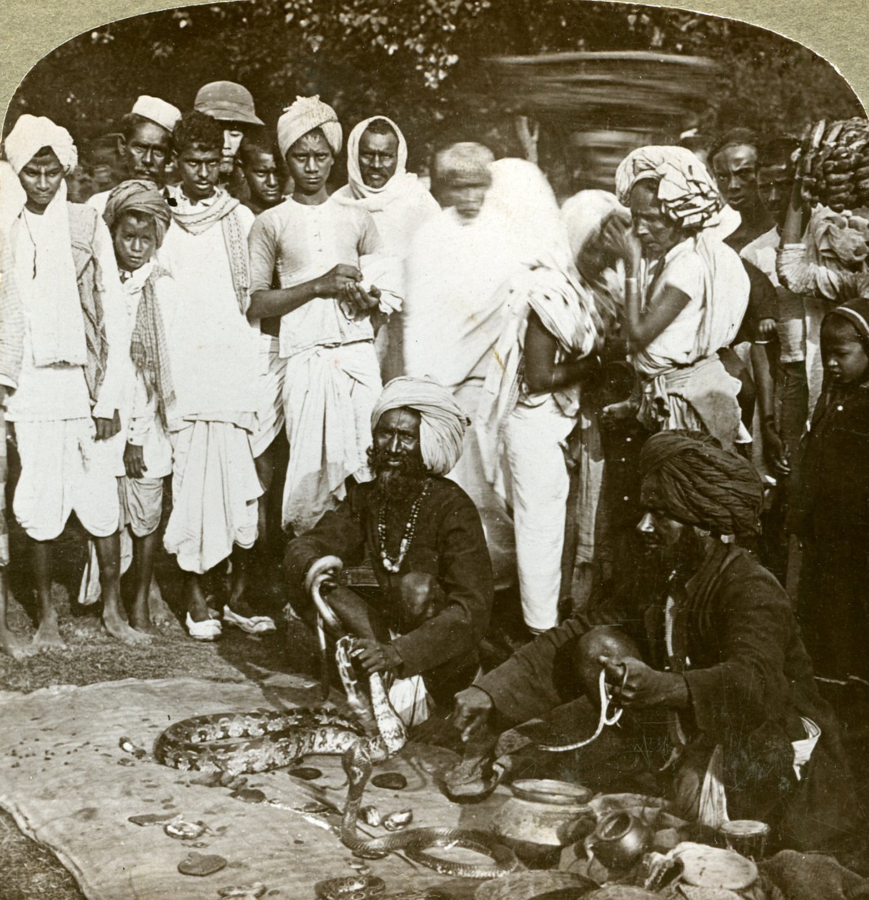 Slangenbezweerder, Calcutta, India, ca. 1900 door Underwood and Underwood