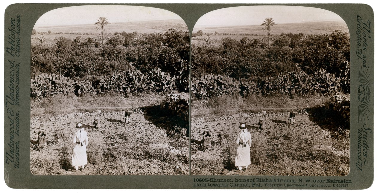 Het noordwestelijke uitzicht vanaf Shunem, over de Vlakte van Esdraelon, richting Karmel, 1900s door Underwood and Underwood
