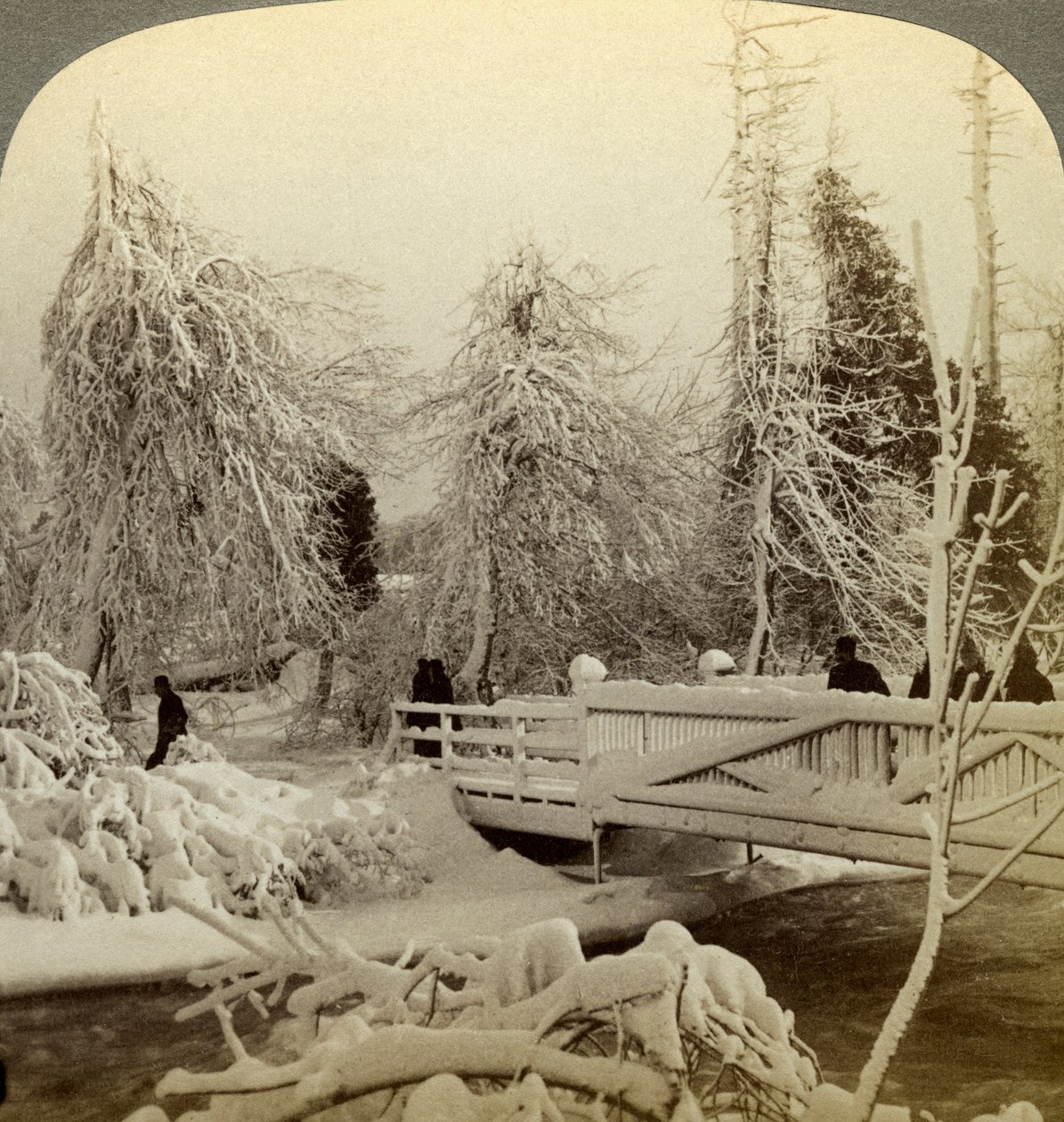 Winterscène, Luna Island, Niagara Falls, New York, VS door Underwood and Underwood