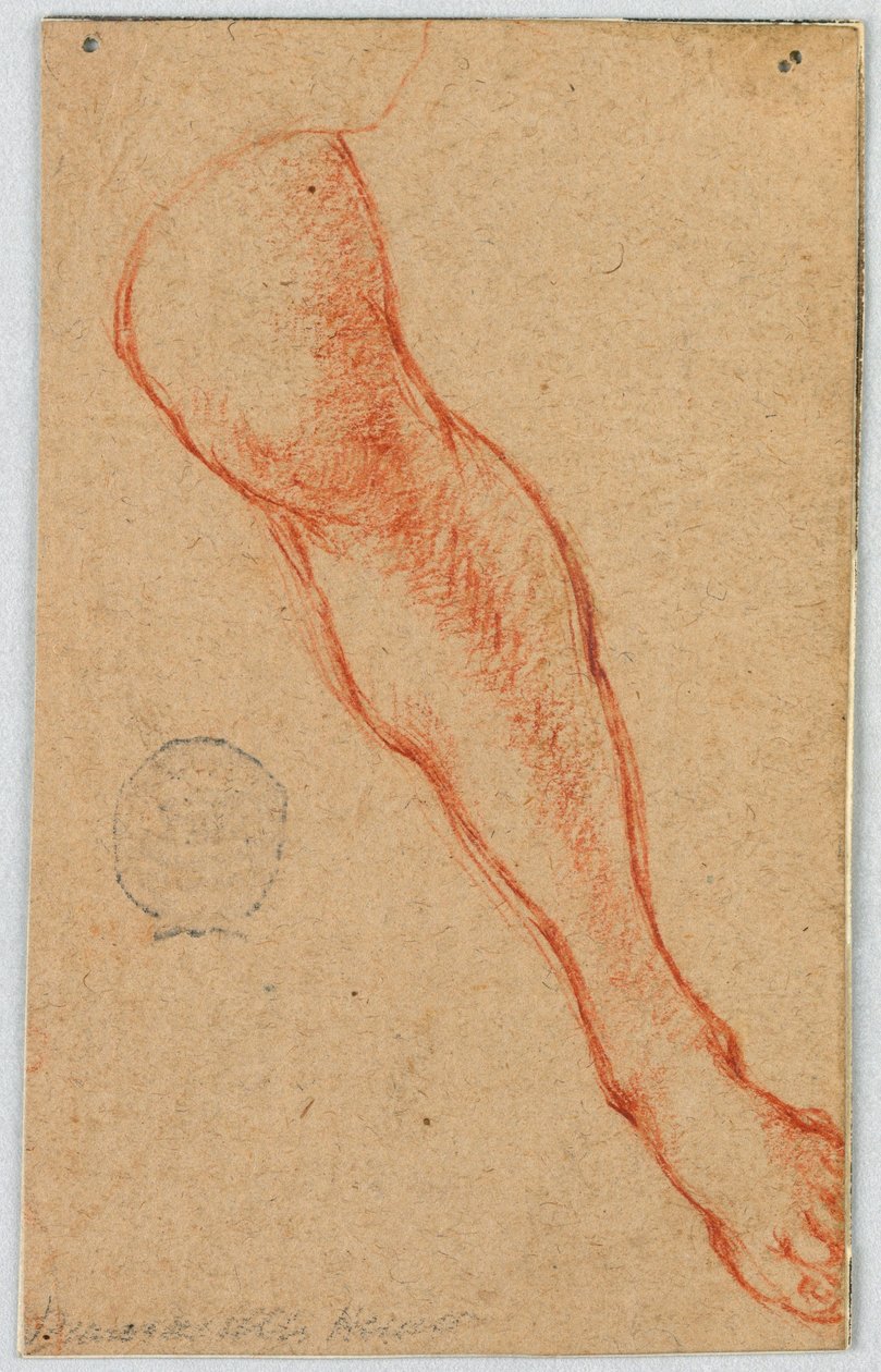 Tekening, Studie van het Linkerbeen van een Zittende Vrouw door Unknown