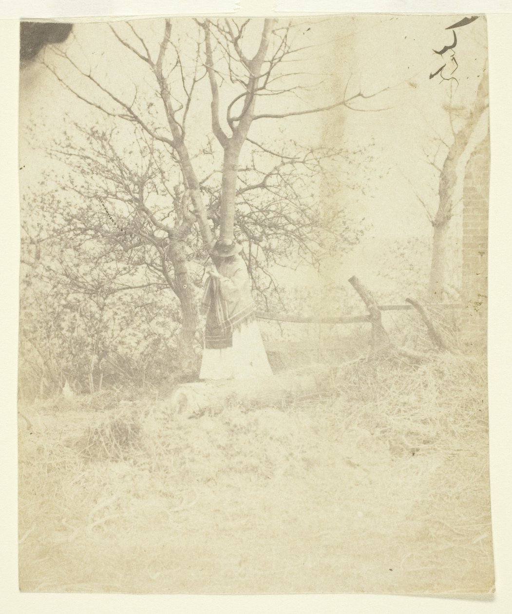 Mrs. Craik door Unknown