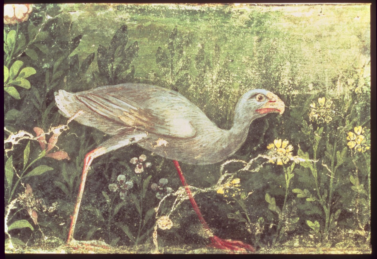 Muurschildering van een Sultan kip in een tuin, Pompeii door Unknown