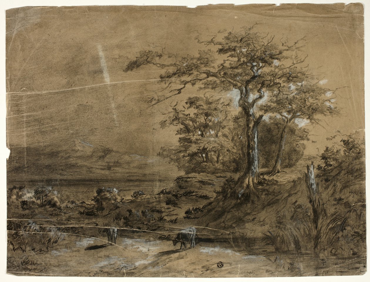 Boslandschap met koeien op de voorgrond door Unknown