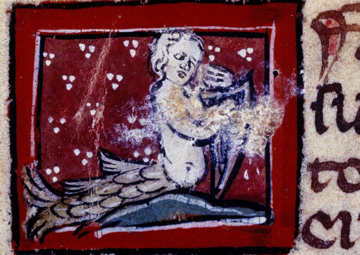 Een sirene - bestiarium uit de 14e eeuw. Milaan, Biblioteca Trivulziana door Unknown artist