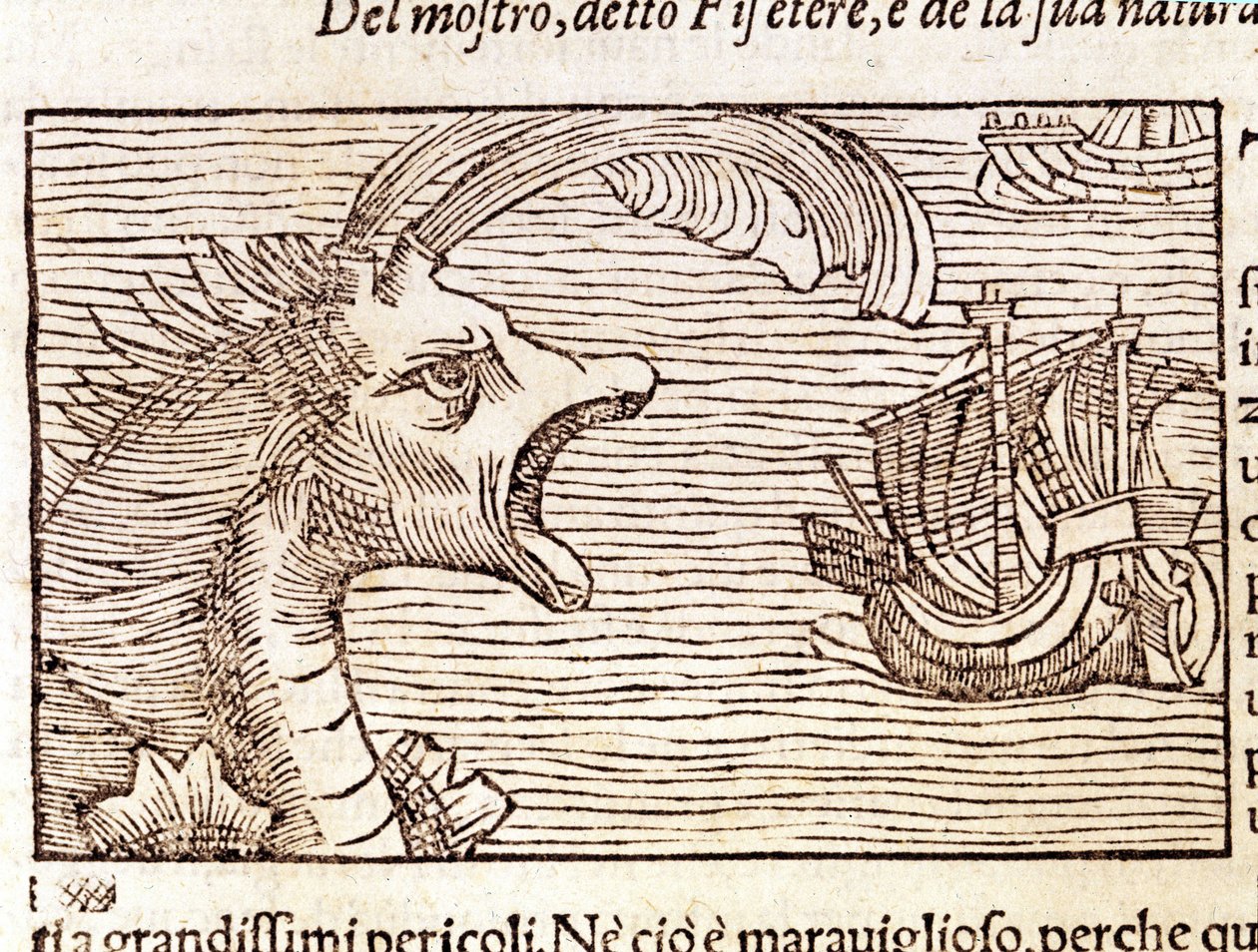 Een potvis (?) (physeter) valt een schip aan (gravure door Olaus Magnus, 