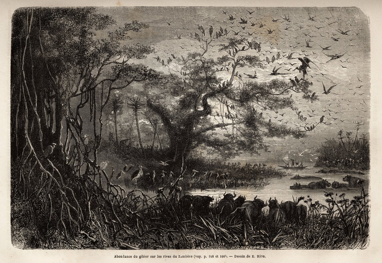 Overvloed aan wild aan de oevers van de Zambezi door Unknown artist