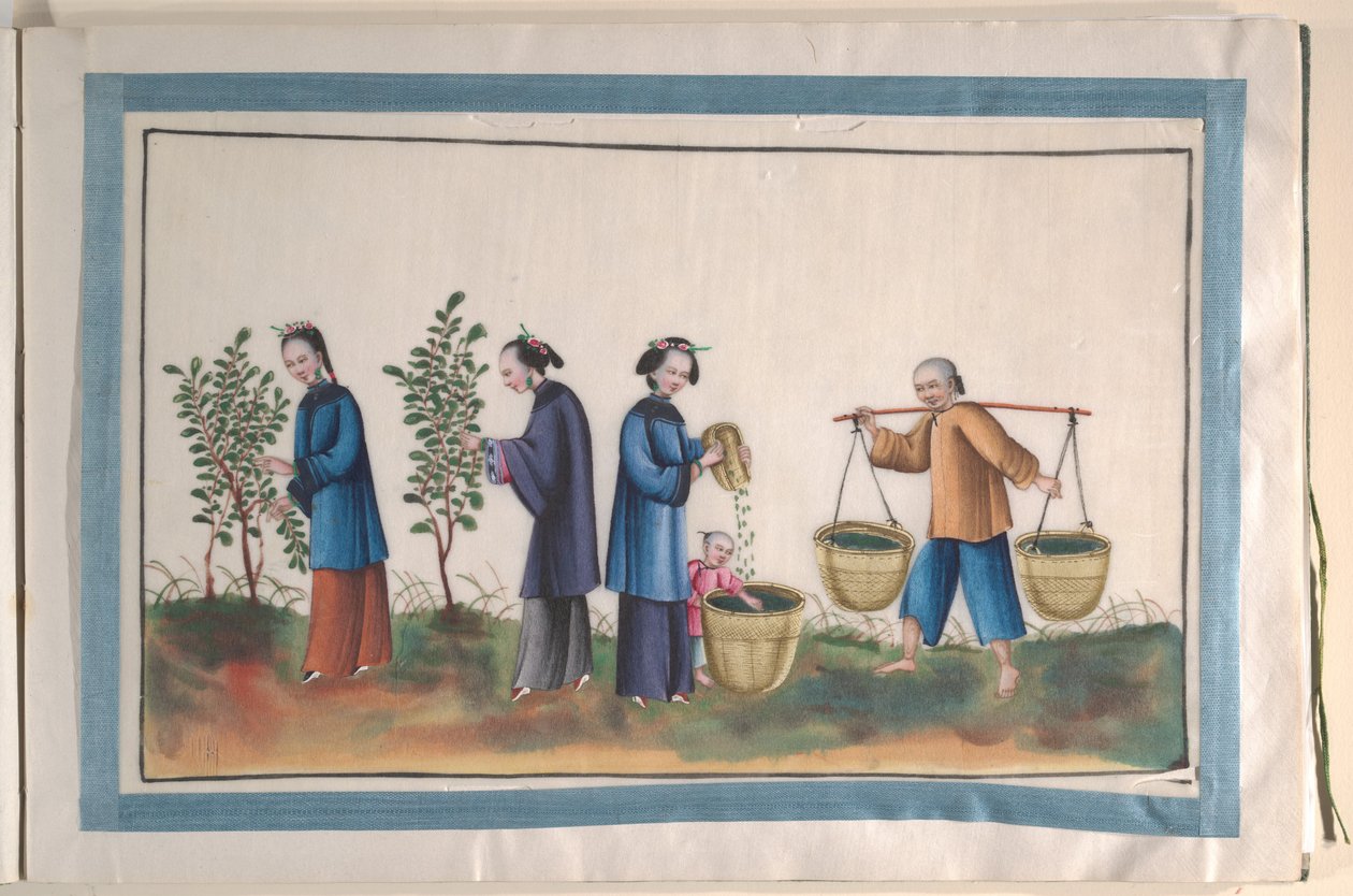 Album met twaalf schilderijen van mensen die zijde maken door Unknown Artist