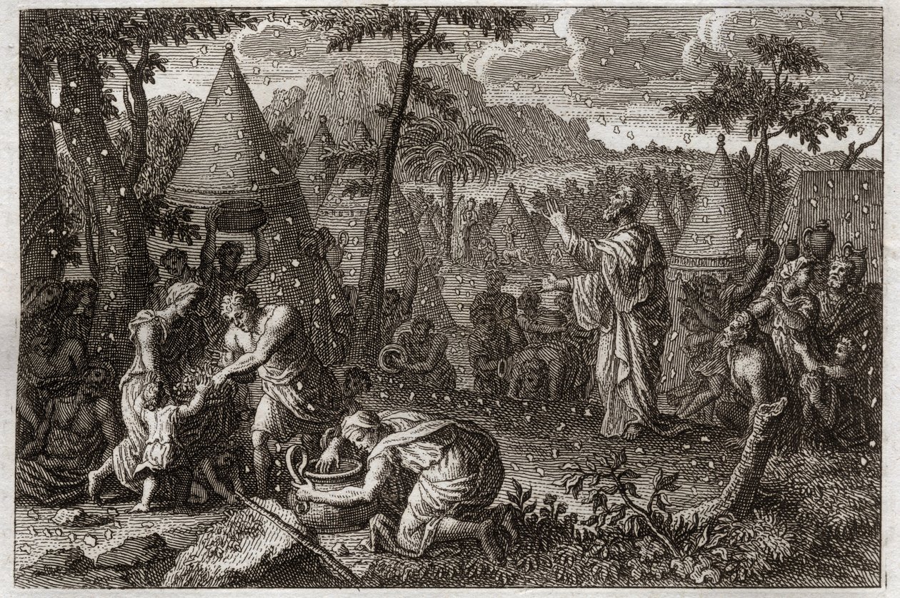 Bijbel van Royaumont, Oude Testament: Joden in de woestijn (of de oogst van manna). God laat veertig jaar lang manna uit de hemel vallen. Illustratie uit 1811. door Unknown artist