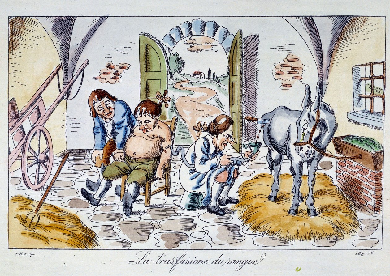 Bloedtransfusie. Een dokter injecteert paardenbloed in een patiënt. Cartoon uit de 19e eeuw. door Unknown artist