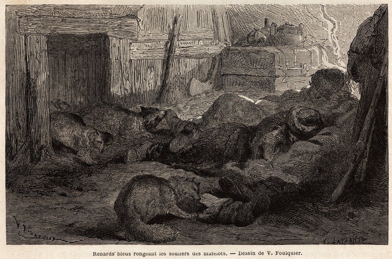 Blauwe vossen knagen aan de schoenen van slapende zeelieden in het toevluchtsoord van het observatiestation, tekening door V.Foulquier, ter illustratie van de Spitzberg door Unknown artist