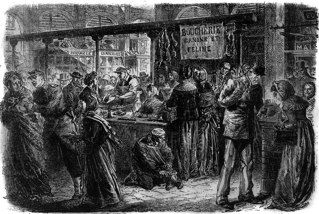 Slagerij voor honden en katten in Parijs in 1870 door Unknown artist