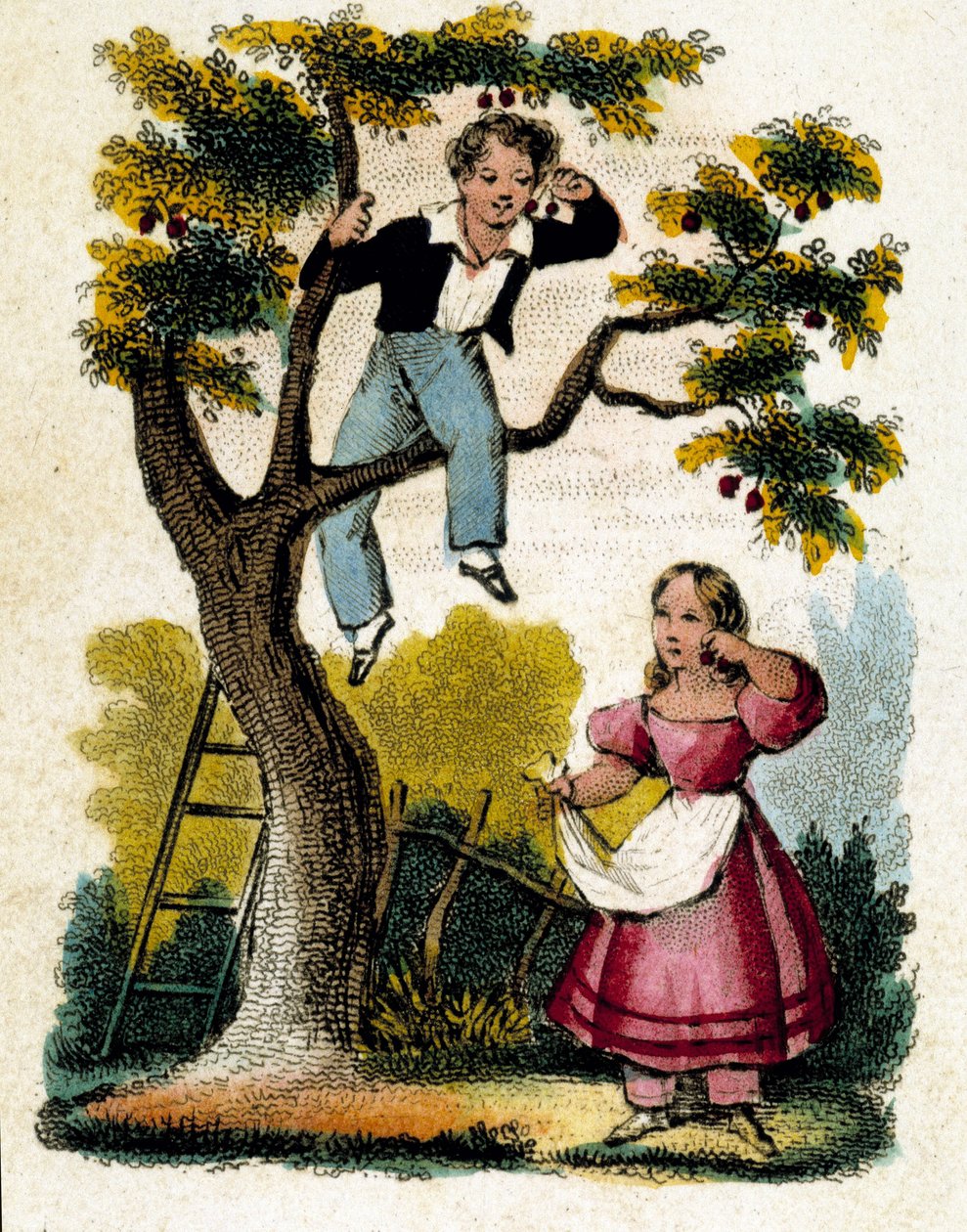 Kersen plukken - chromo, eind 19e eeuw door Unknown artist
