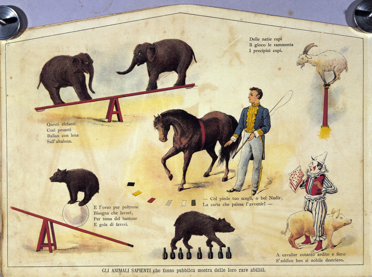 Circus: een bord dat verschillende soorten shows van geleerde dieren toont met olifanten, een geit, een beer, paarden en een varken. Illustratie van de 19e eeuw door Unknown artist