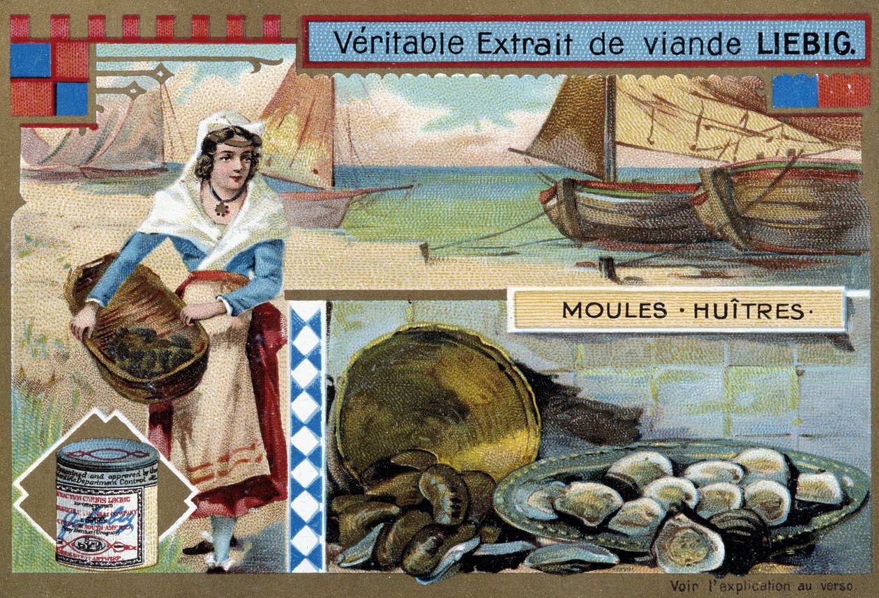 Collectie van mosselen en oesters - chromo. Liebig, ca. 1900 door Unknown artist