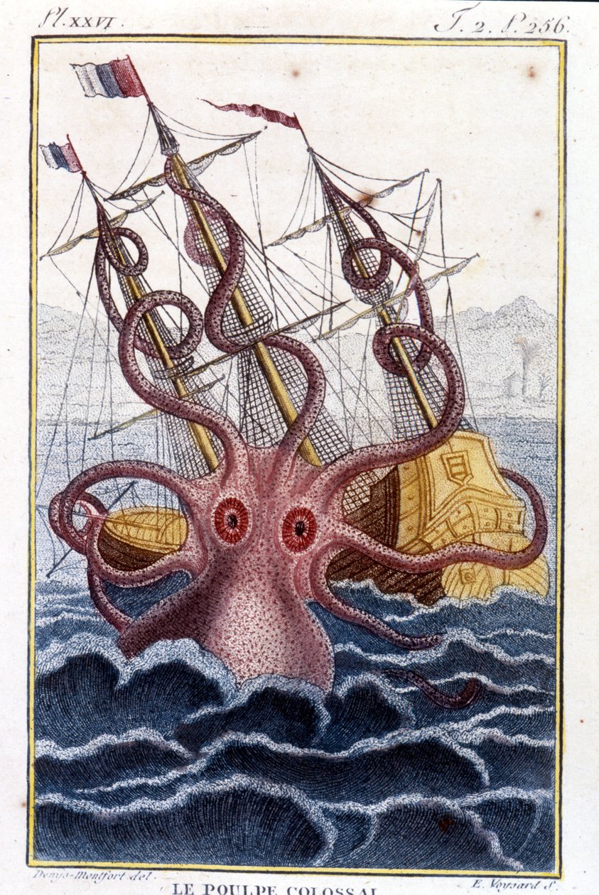 Kolossale octopus (octopus, reuzeninktvis, kraken) valt een schip aan - gravure uit het boek van Pierre Denys-Montfort 