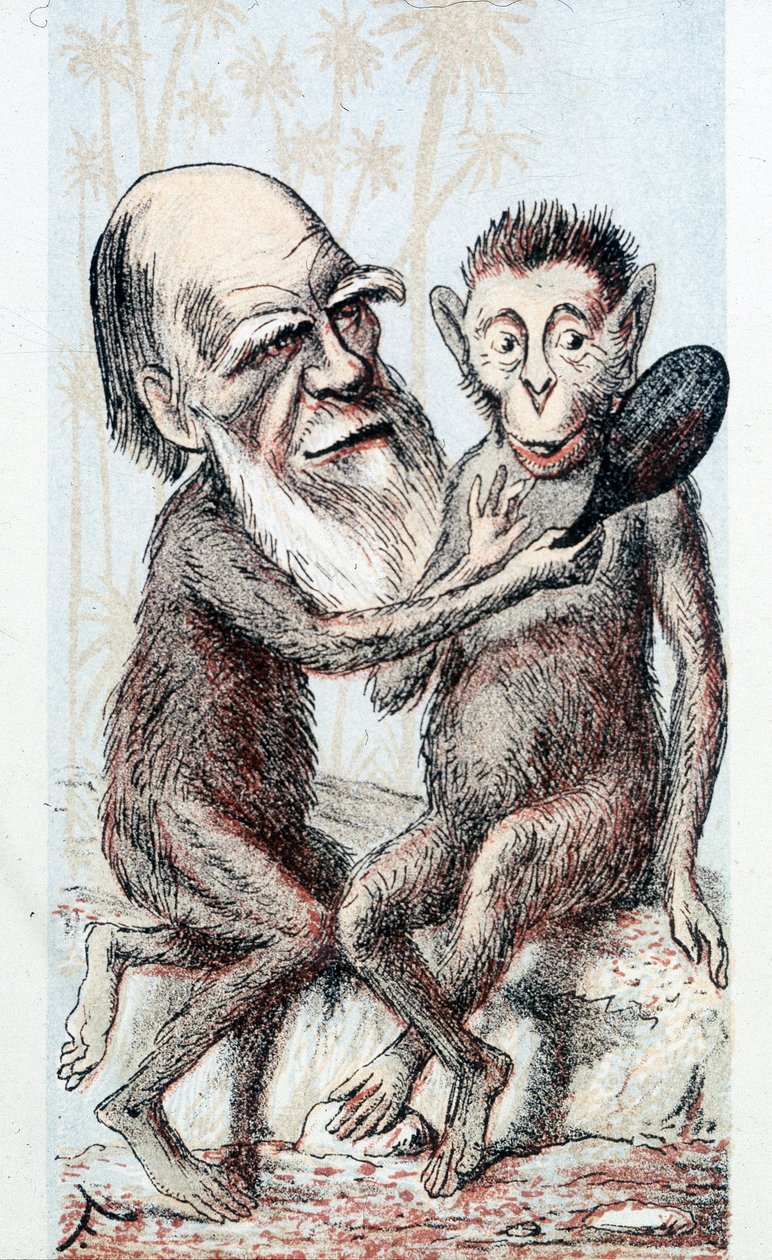 Komische tekening over Darwins theorie - in 