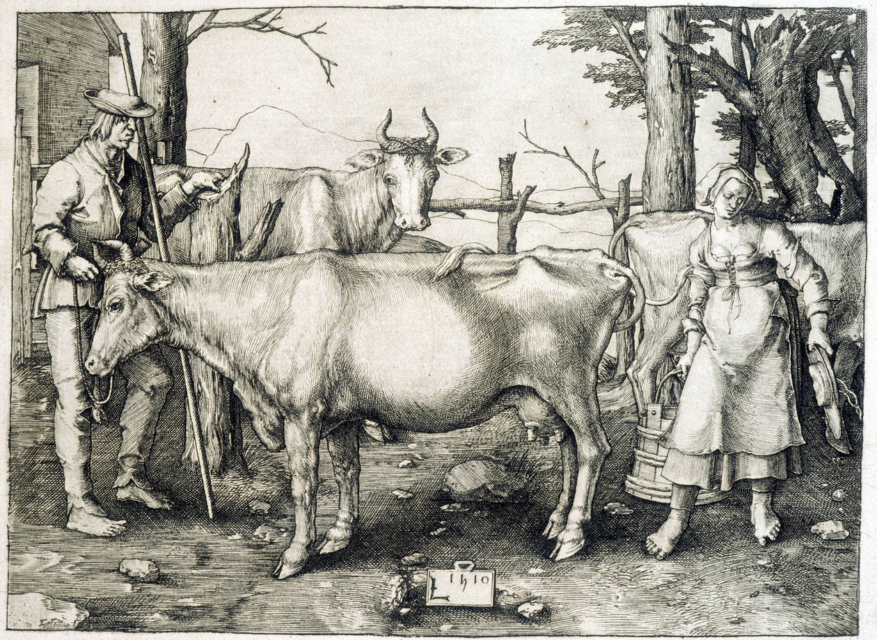 Koe en zuivel in Nederland door Unknown artist