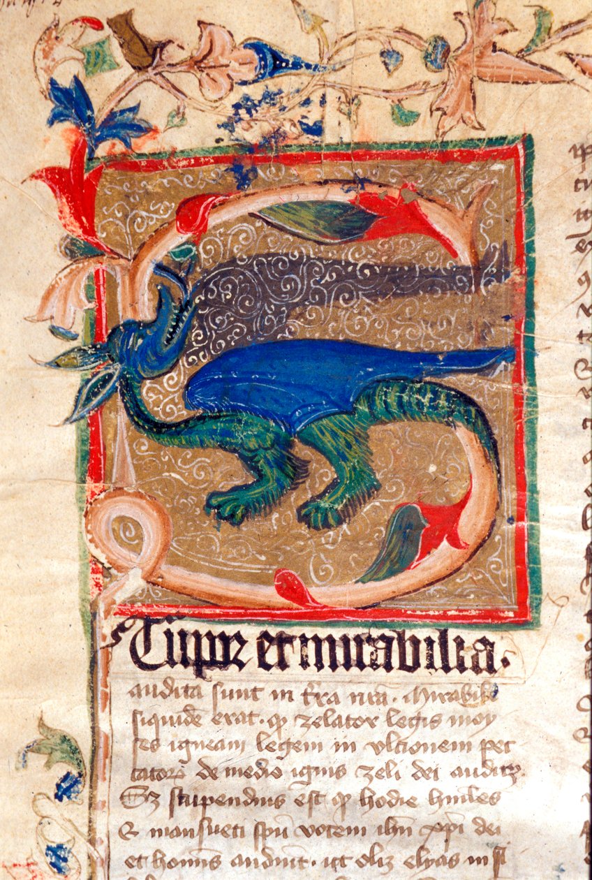 Draak Gedecoreerde Initiaal (detail van een 14e-eeuws manuscript) door Unknown artist