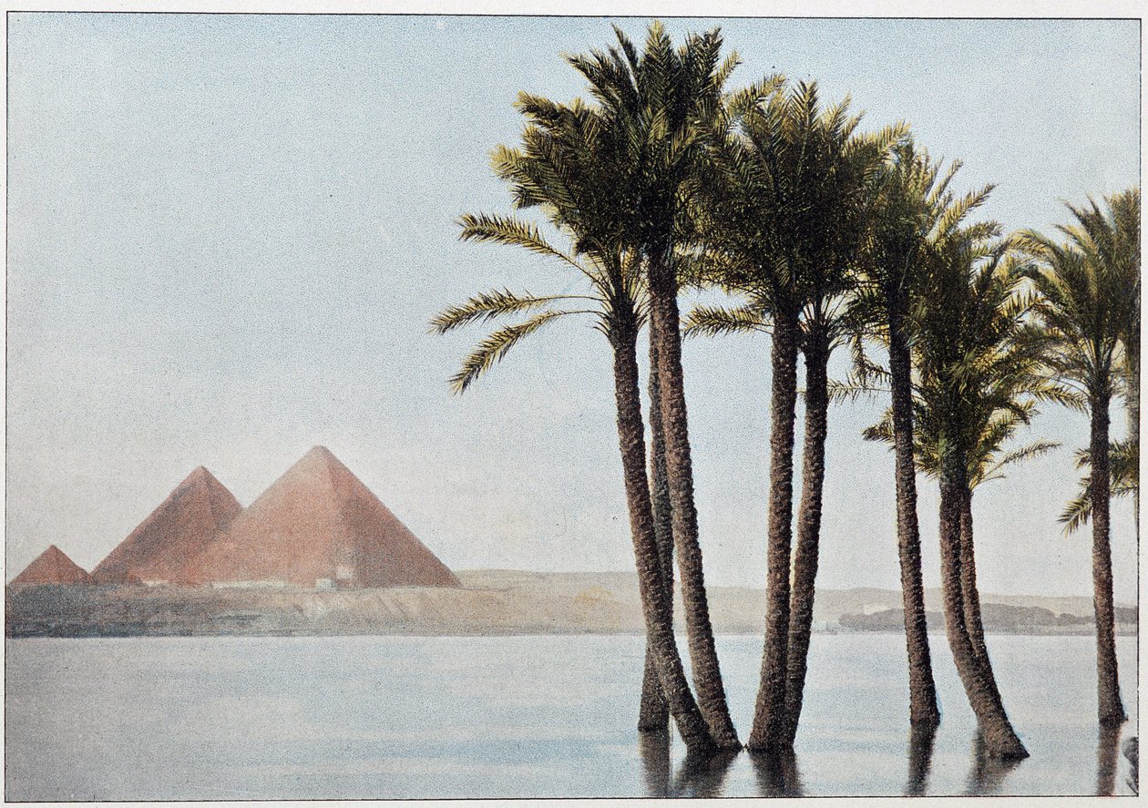 Egypte: de overstroming van de Nijl en de piramides van Gizeh door Unknown artist