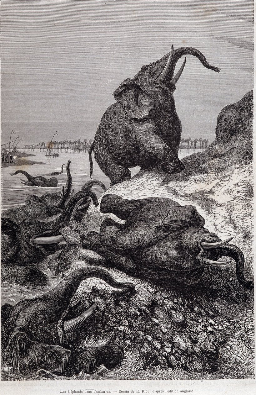 Olifanten beklimmen de oever van een rivier, in verslag van een expeditie naar Centraal-Afrika in opdracht van Sir Samuel White Baker, 