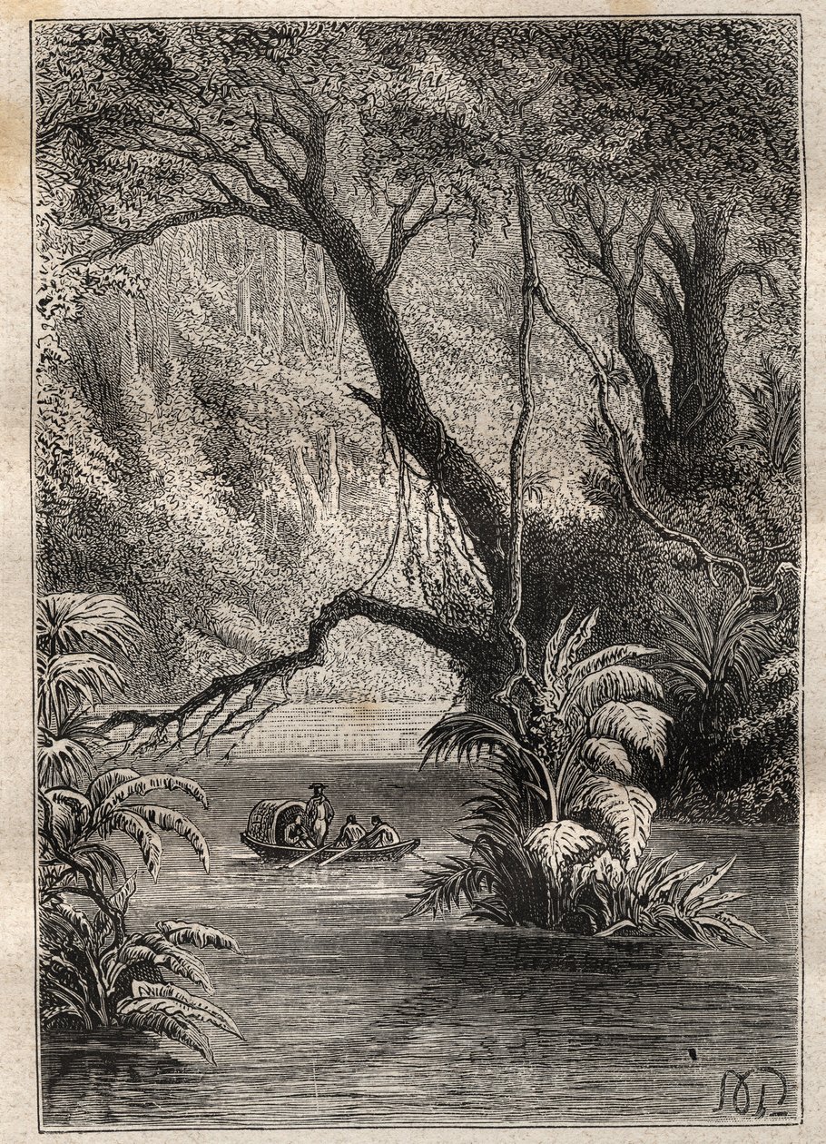 Expeditie naar Amerika (1799-1804) door Alexander von Humboldt (1769-1859) en Aime Bonpland (1773-1858): de ontdekkingsreizigers dalen de Orenoque af, omringd door de gigantische bomen van het Amazonewoud (Cano Pimichin, Venezuela) - illustratie uit 