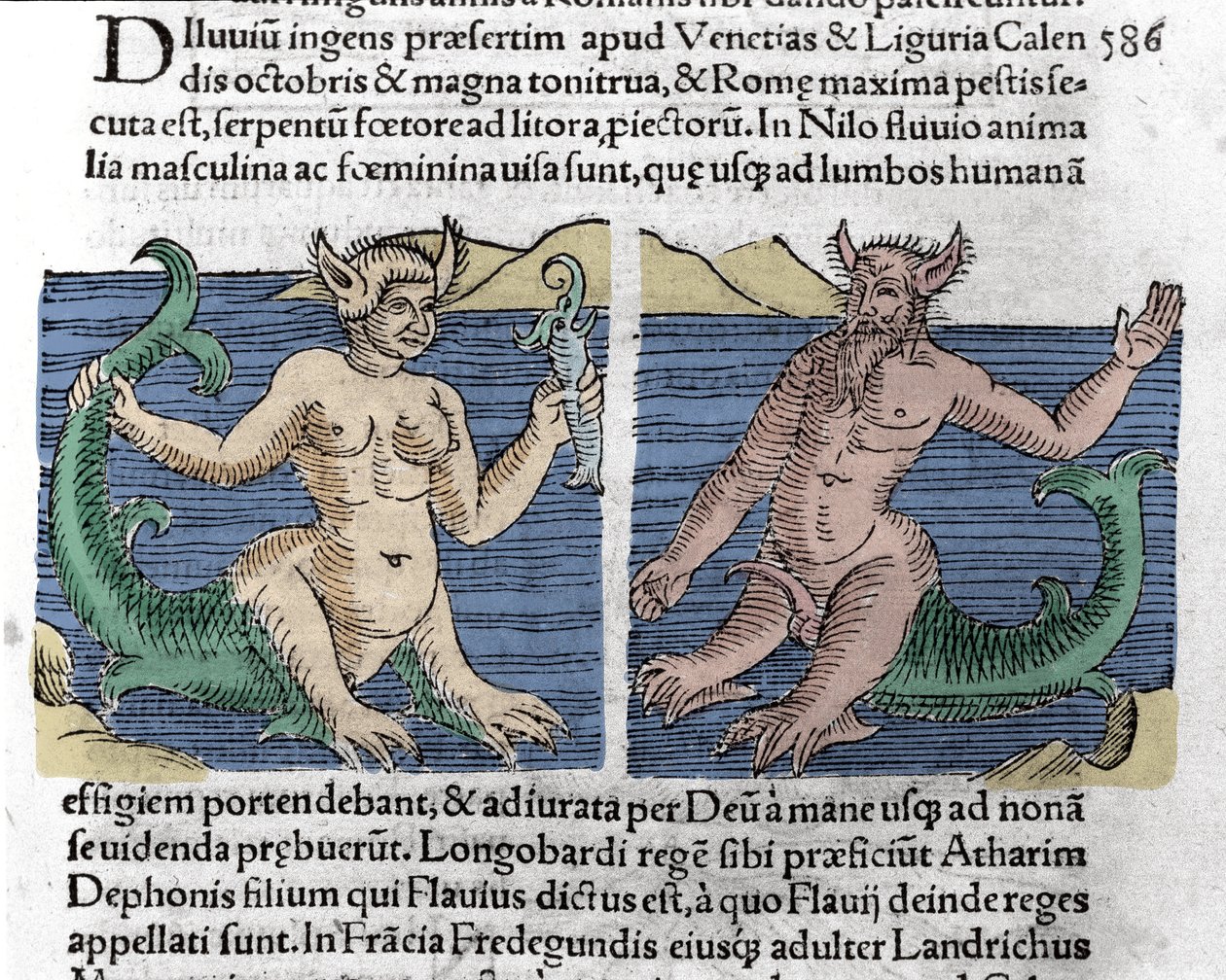 Fantastische wezens: een watersalamander en een sirene gezien in de Nijl (gravure uit 