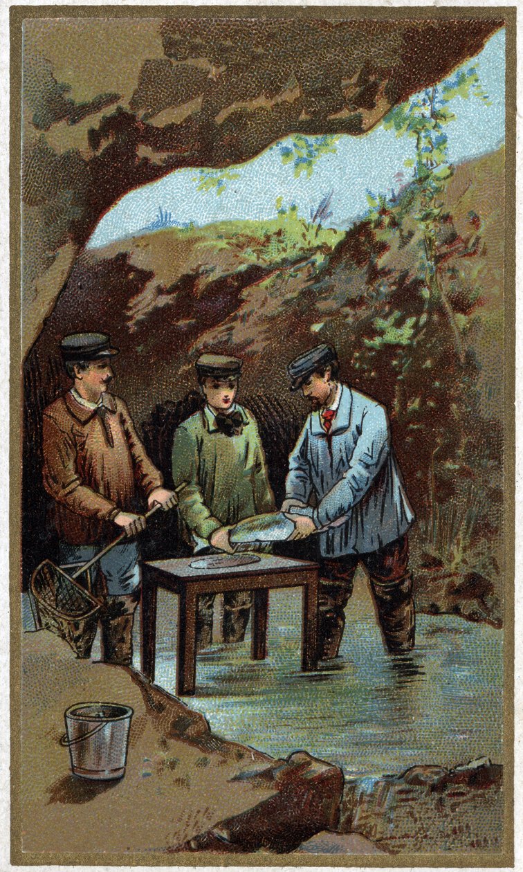 Visserij: kunstmatige leg. Chromolithografie uit het einde van de 19e eeuw door Unknown artist