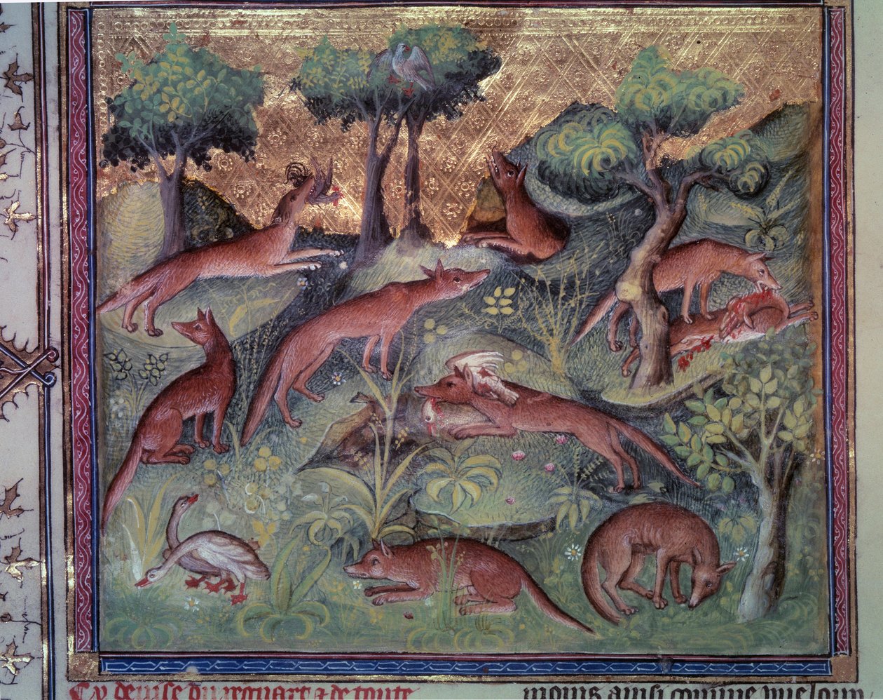 Vossenjacht op pluimvee. Miniatuur uit het manuscript 