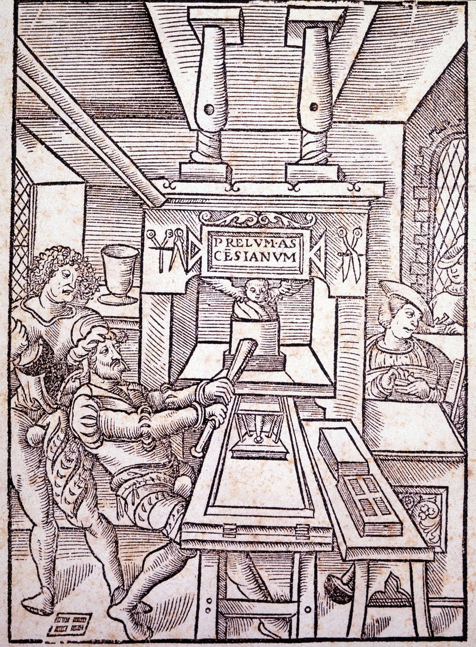 Franse pers. 16e eeuw. door Unknown artist