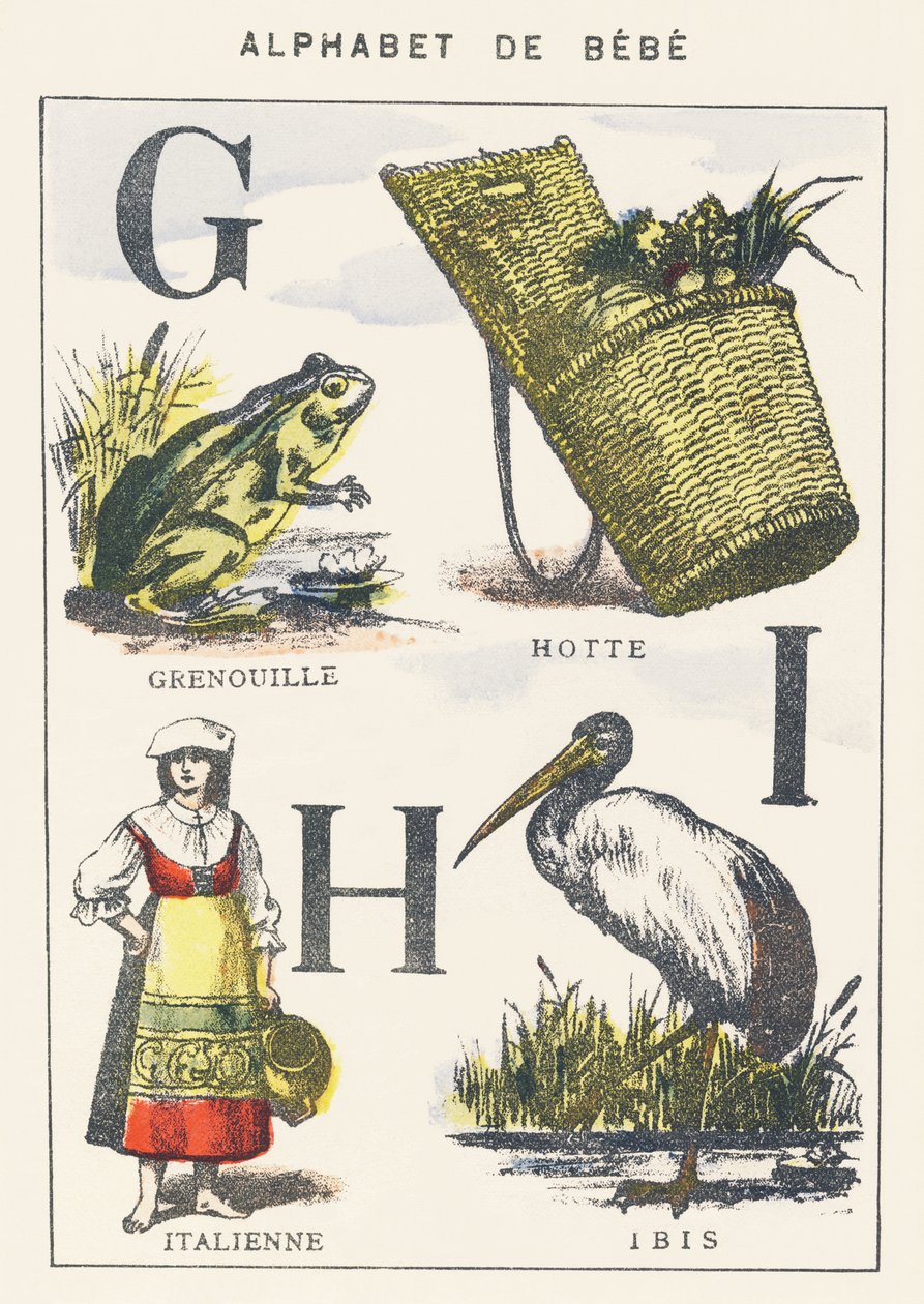 G H I: kikker, kap, Italiaan, ibis door Unknown artist