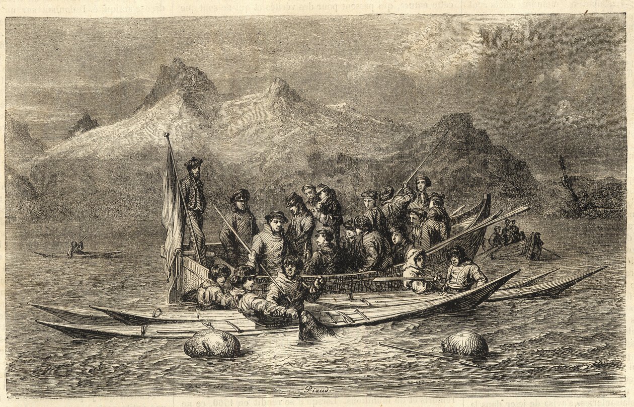 Jacht op zadelrobben - Jacht op zeehonden in Groenland - Gravure uit 