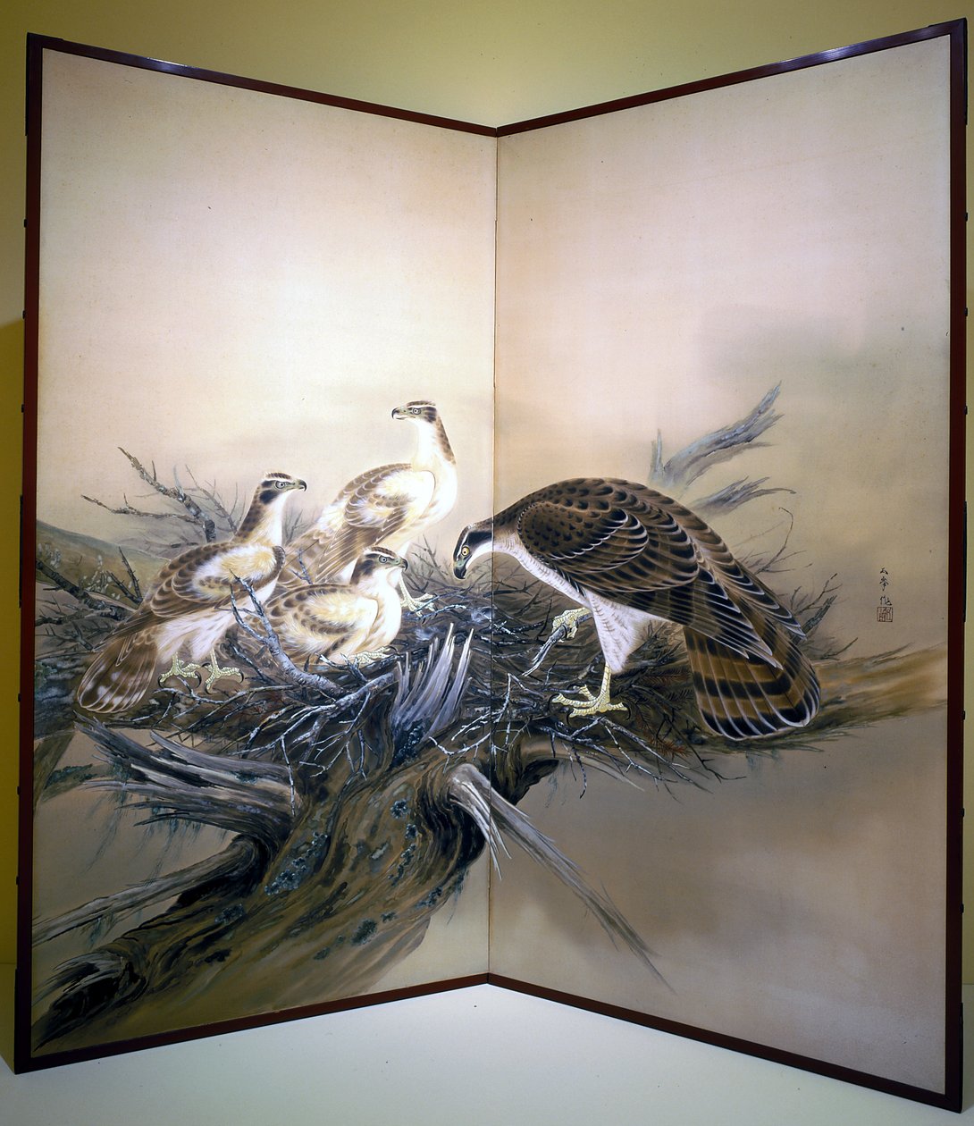 Haviken, Nest en Gebroken Boom door Unknown artist
