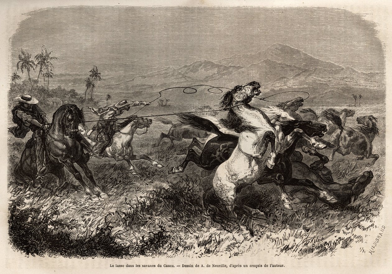 Kuddes muilezels en paarden zwerven vrij rond in de vlaktes van Cauca (Colombia), fokkers groeperen zich om beesten te vangen met een lasso (of zoga, lange leren riem). Gravure ter illustratie van de reis naar Nieuw-Granada, door Dr. Saffray, in 1869, gepu door Unknown artist
