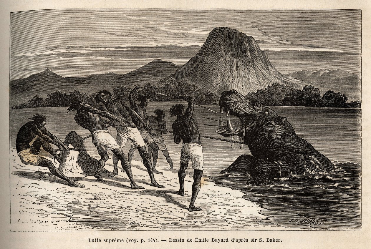 Nijlpaardjacht met de Houarti-stam, met harpoenen en speren, het woedende dier laadt en verzet zich. Gravure ter illustratie van de verkenning van de Abessijnse zijrivieren van de Nijl, door Sir Samuel W. Baker, in 1861-62, gepubliceerd in 