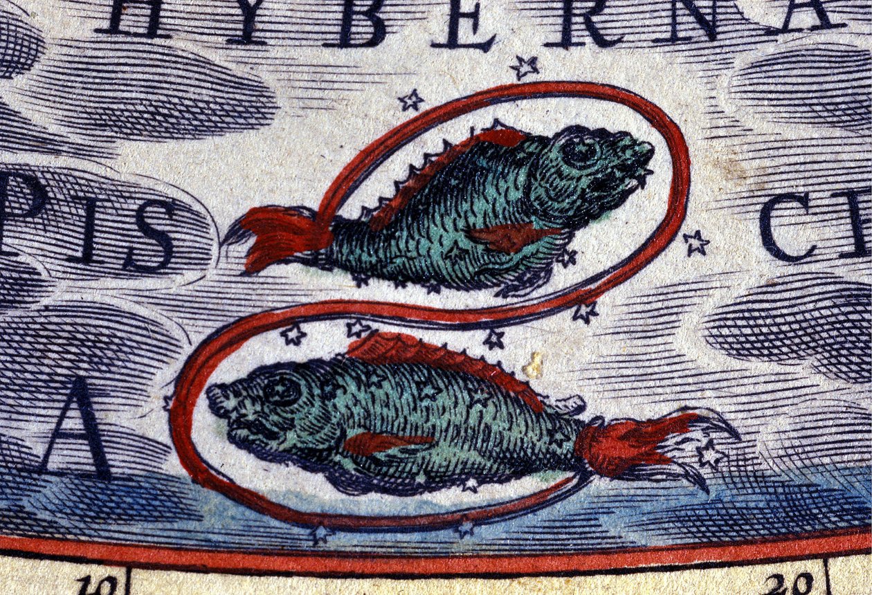 Horoscoop: sterrenbeeld Vissen. 16e-eeuwse gravure door Unknown artist