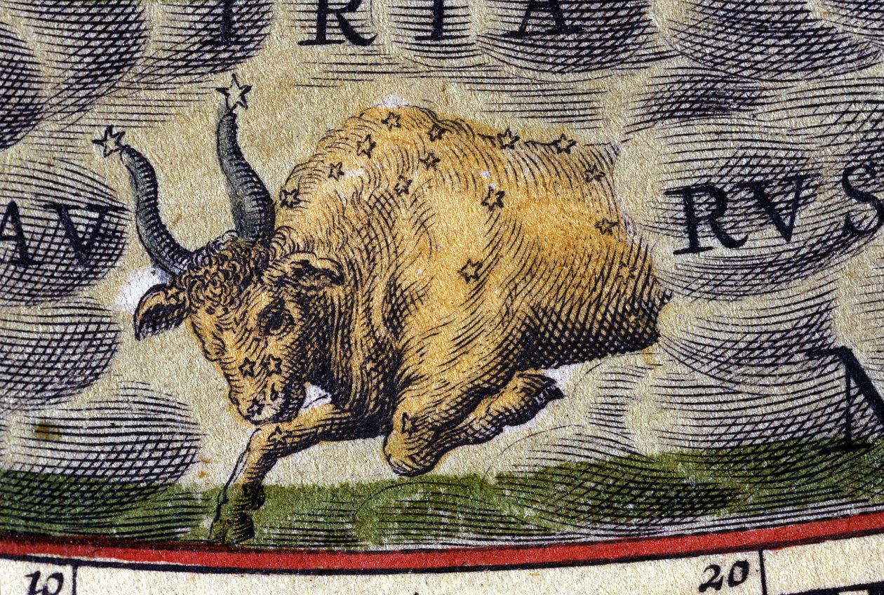Horoscoop: teken van de dierenriem, de Stier. door Unknown artist