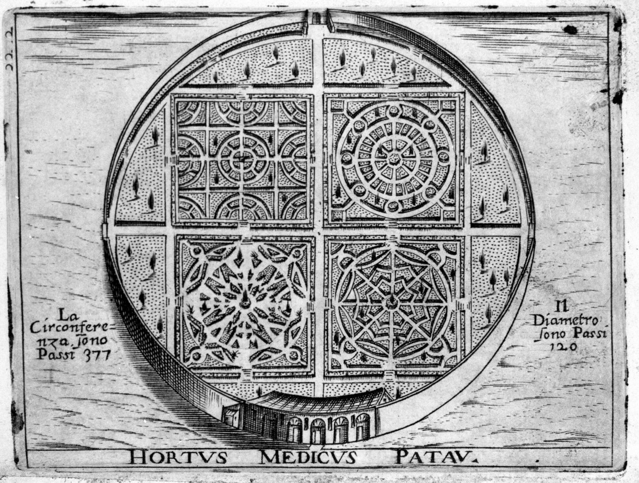 Hortus Medicus Patav: Medische Tuin van Padua. door Unknown artist