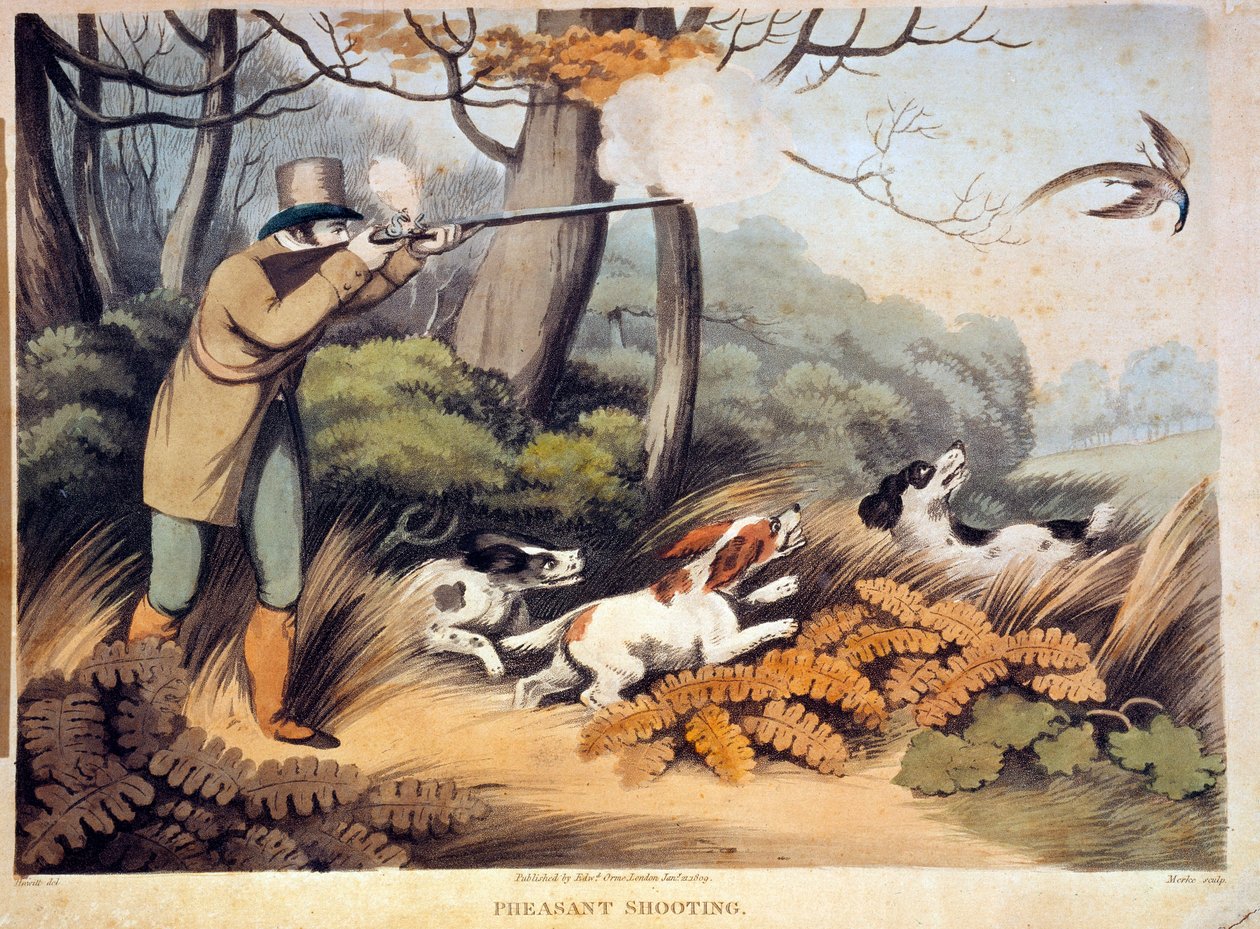 Jacht op fazanten in Engeland (19e eeuw) Gien, jachtmuseum door Unknown artist
