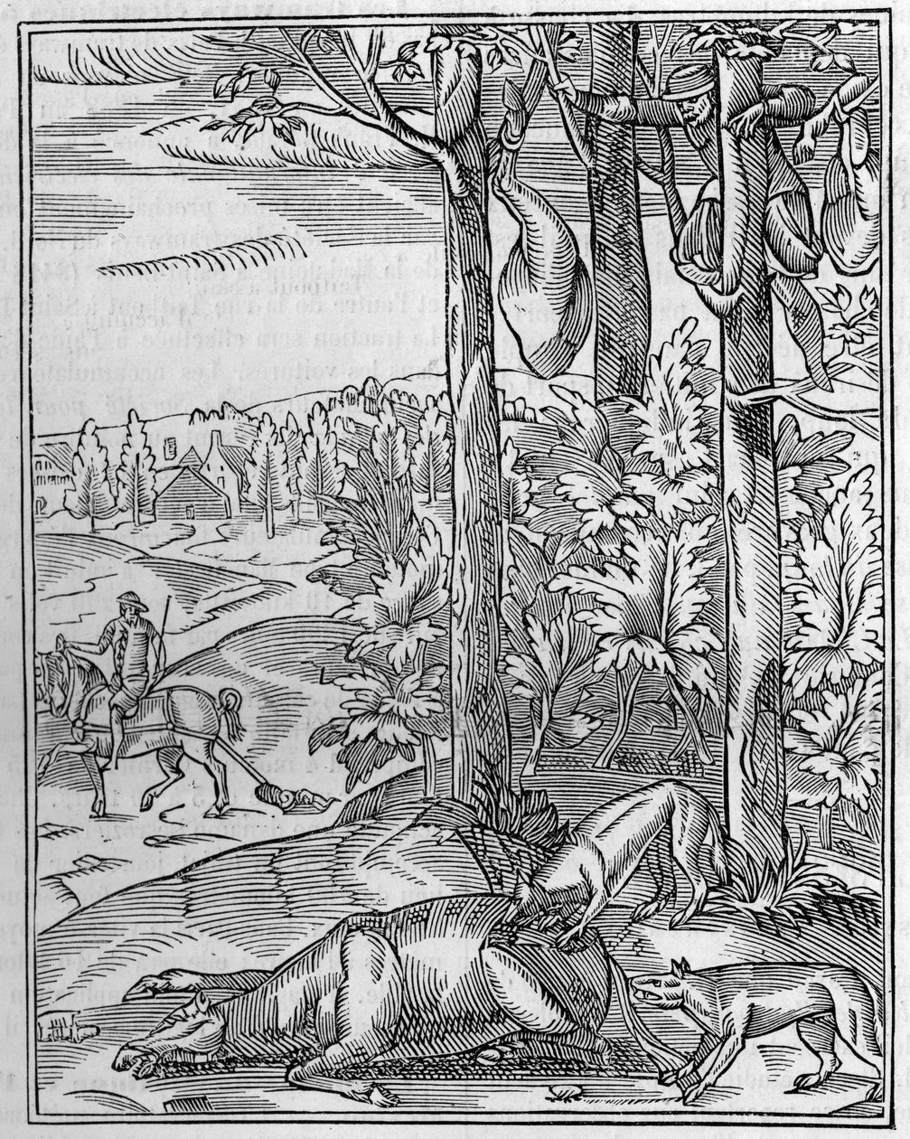 Jacht op de wolf: de uitkijk. Facsimile van een 16e-eeuwse houtsnede. Gravure in La Nature: revue des sciences et de leurs applications aux arts et a l