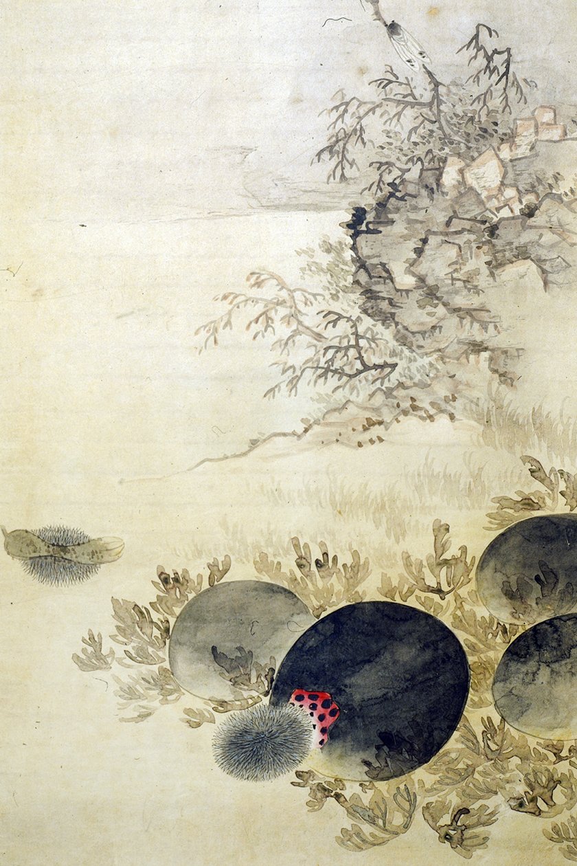 Hwajodo door Unknown artist