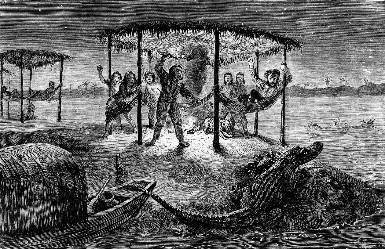 Illustratie "De naturalist op de rivier de Amazone" door Henry Walter Bates (gravure) door Unknown artist