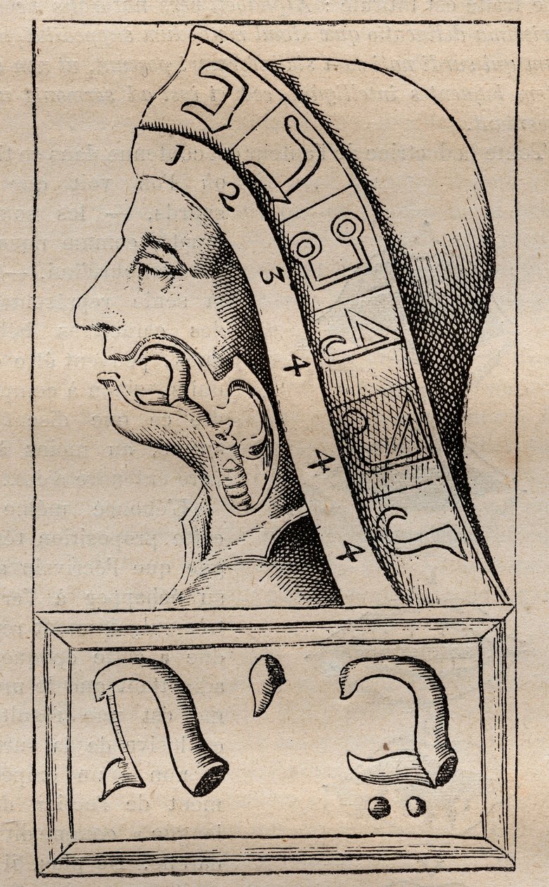 Illustratie uit: Alphabeti vere naturalis Hebraici brevissima delineatio (Het Alfabet van de Natuur) van Franciscus Mercurius van Helmont (1618-1699) door Unknown artist