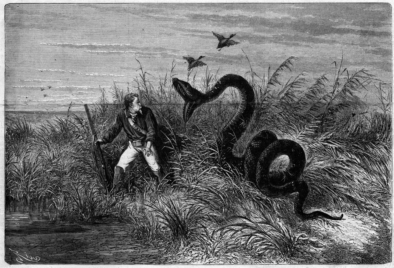 Incident in de savanne tijdens een eendenjacht. Fragment uit 