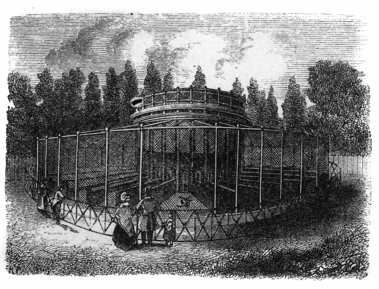 Jardin des Plantes in Parijs in 1861: fazanterie door Unknown artist