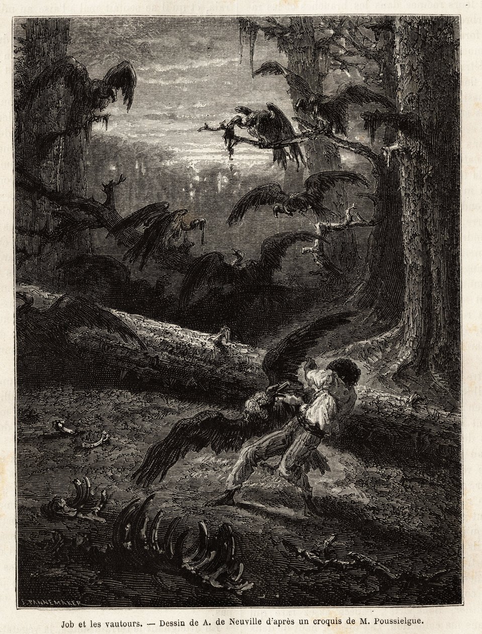Job (reisgenoot van de redacteur), aangevallen door gieren. Gravure ter illustratie van het verhaal Quatre mois en Florida, door M. Pousselgue, in 1851-1852, gepubliceerd in 