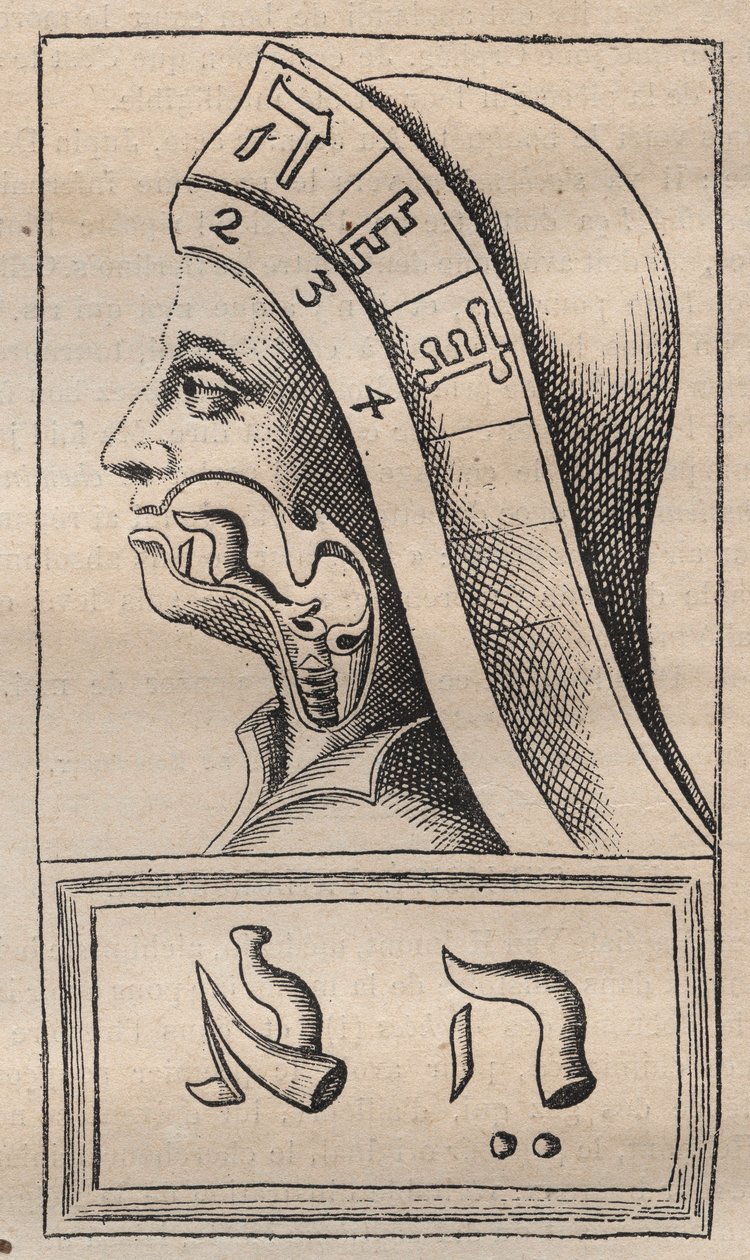 Kabbalah - Illustratie uit: Alphabeti vere naturalis Hebraici brevissima delineatio (Het Alfabet van de Natuur) van Franciscus Mercurius van Helmont (1618-1699) door Unknown artist