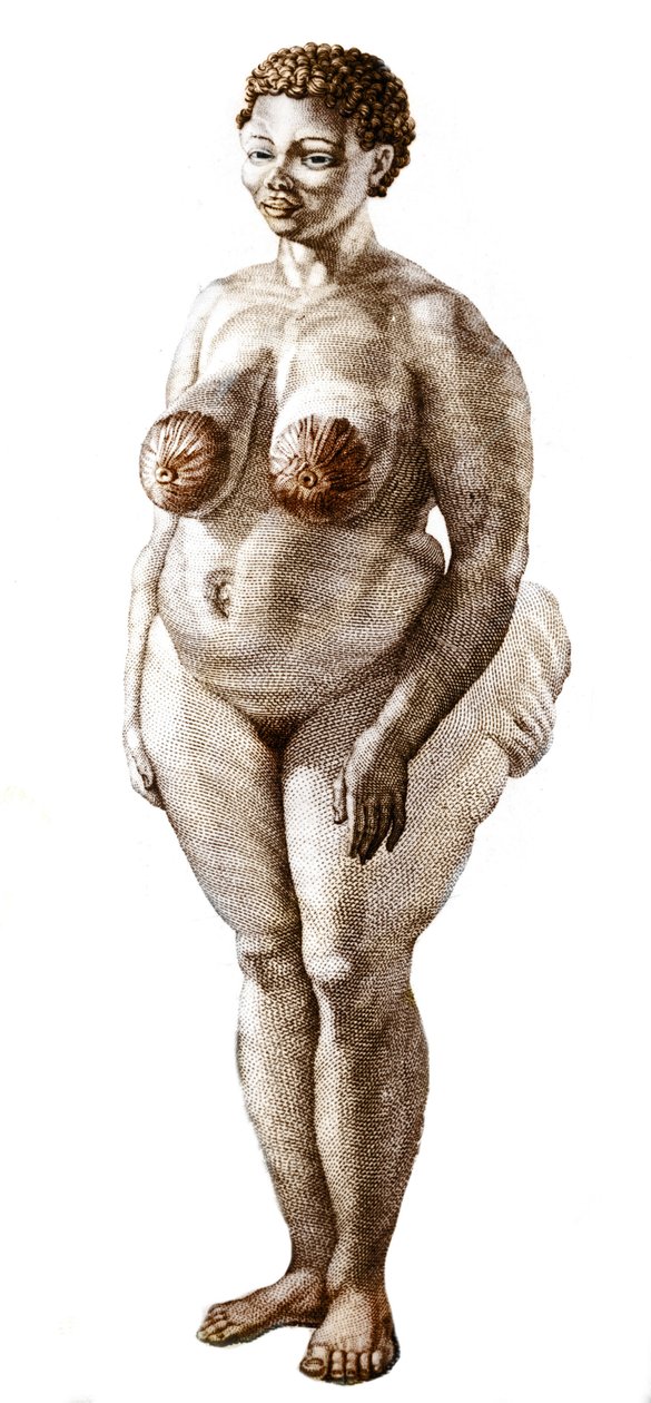 De Hottentot Venus, vrouw van het Bochiman-ras, gravure uit 1815. door Unknown artist