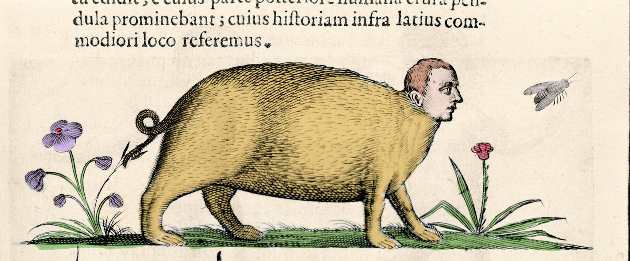 De manticore - in 
